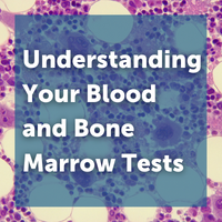 Understanding Your Blood and Bone Marrow Tests