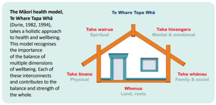 In New Zealand, we have a model of health which illustrates the Māori (our indigenous population) view of health. This model, Te Whare Tapa Whā illustrates four dimensions of wellbeing: physical, mental and emotional, family and social and spiritual (and connection with our land/home).