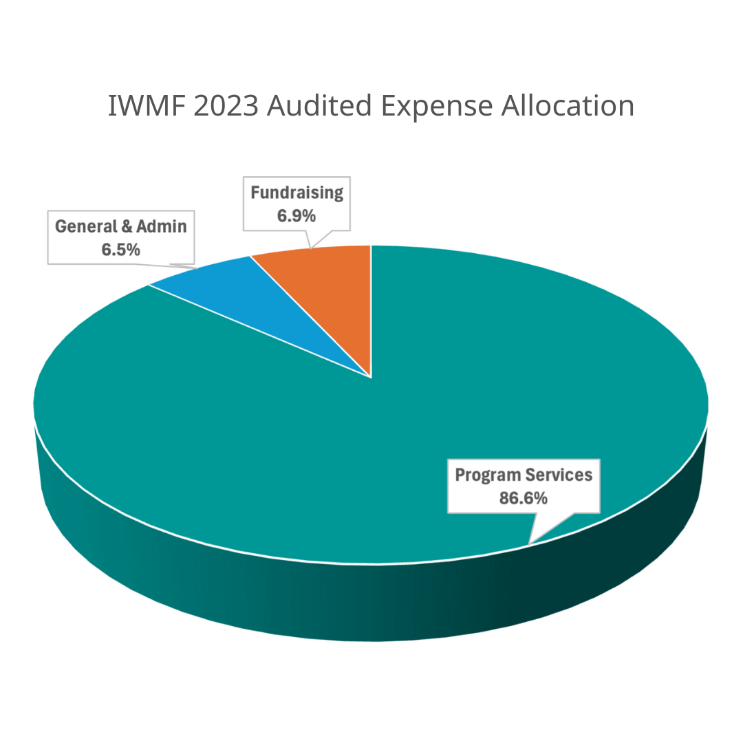 Pie chart with 2023 Financials