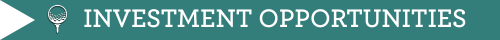 INVESTMENT OPPORTUNITIES INVESTMENT OPPORTUNITIES TITLE